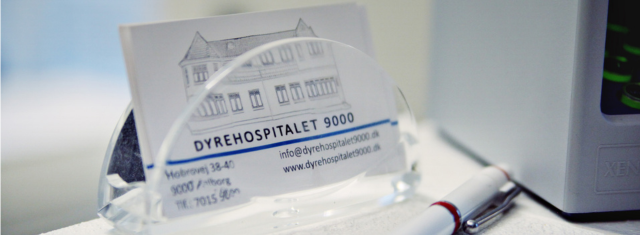 Dyrehospital_9000-dyrlæge-dyr-kæledyr-aalborg